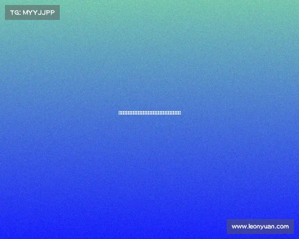 英超意甲等多家俱乐部关注柏林联合后卫多克希转会动向