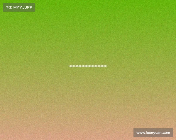 阿莫林预计将在国际比赛日期间与俱乐部商谈未来发展计划